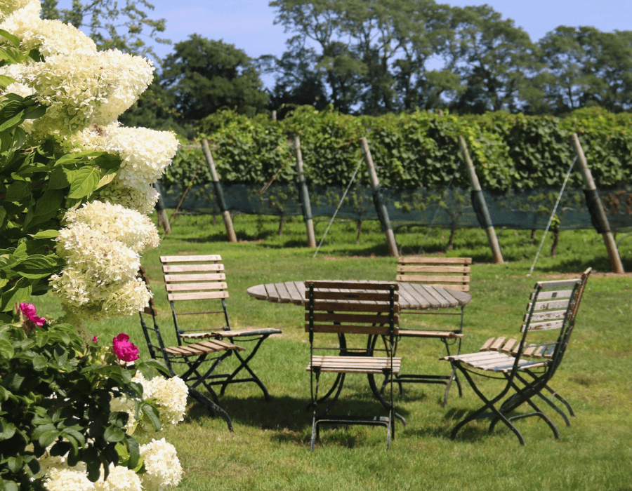 A picturesque outdoor setting featuring a wooden table surrounded by chairs, with blooming flowers and a vineyard in the background.