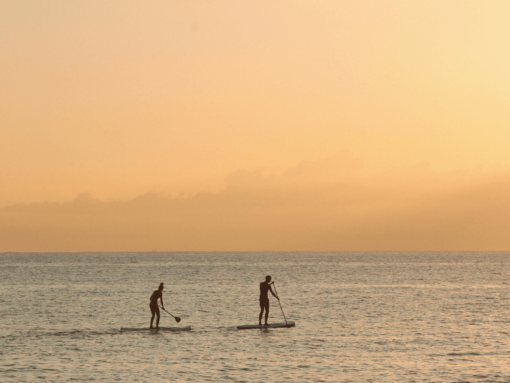 Silhouettes of two people paddleboarding on a calm ocean during sunset.